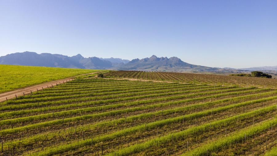 4 Bedroom Property for Sale in Lyndoch Western Cape